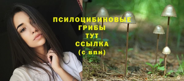 дмт Болотное
