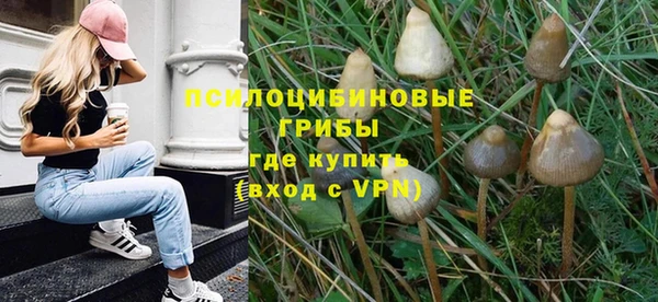 дмт Болотное