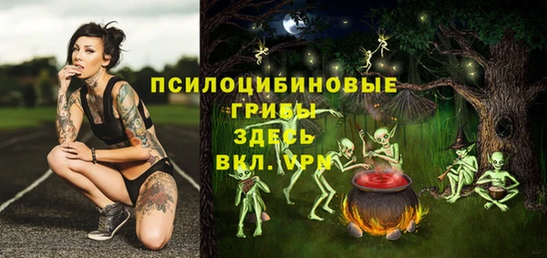 бошки Абдулино
