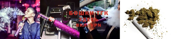 дмт Болотное