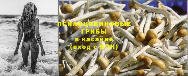 мяу мяу мука Абинск