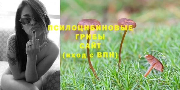 бошки Абдулино