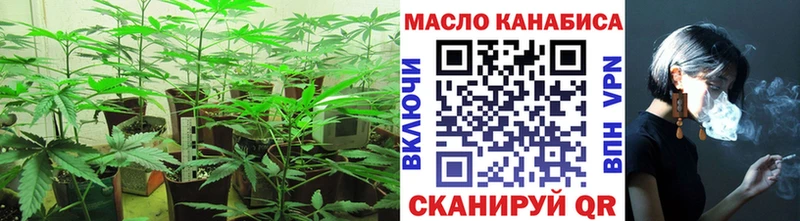 omg вход  Каргополь  ТГК концентрат 